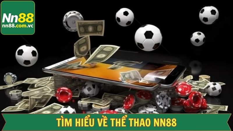 Khái quát các điểm nổi bật về sảnh thể thao